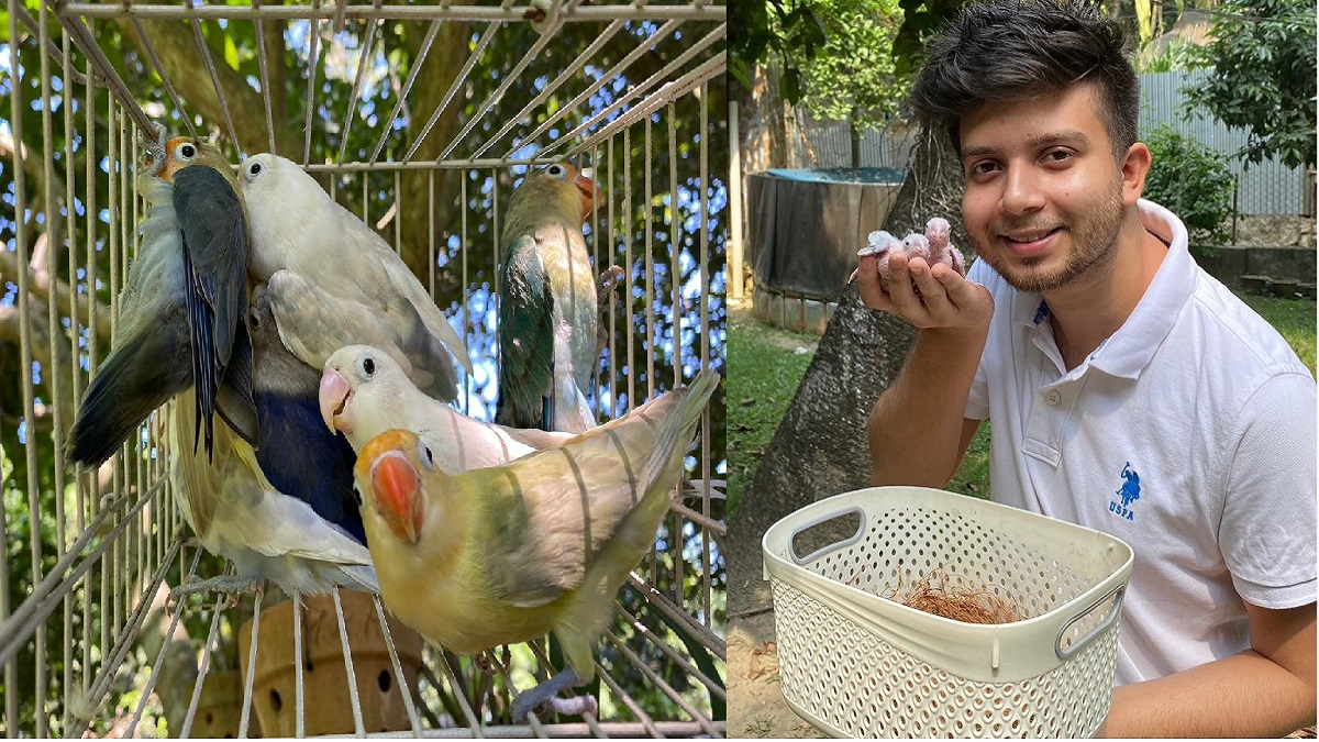 একজন পাখিপ্রেমী সোহান ও তার স্বপ্নের ‘বার্ডস ভ্যালি’