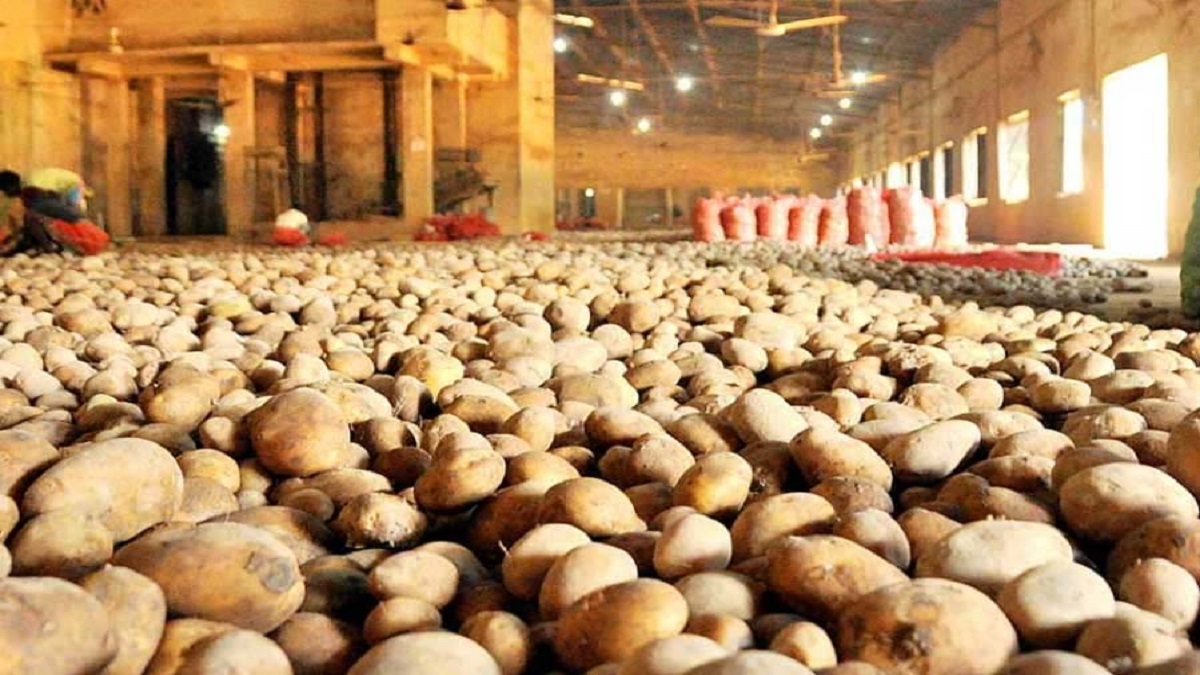 বুধবার থেকে কোল্ড স্টোরেজে সরকার নির্ধারিত মূল্যে আলু বিক্রির নির্দেশ