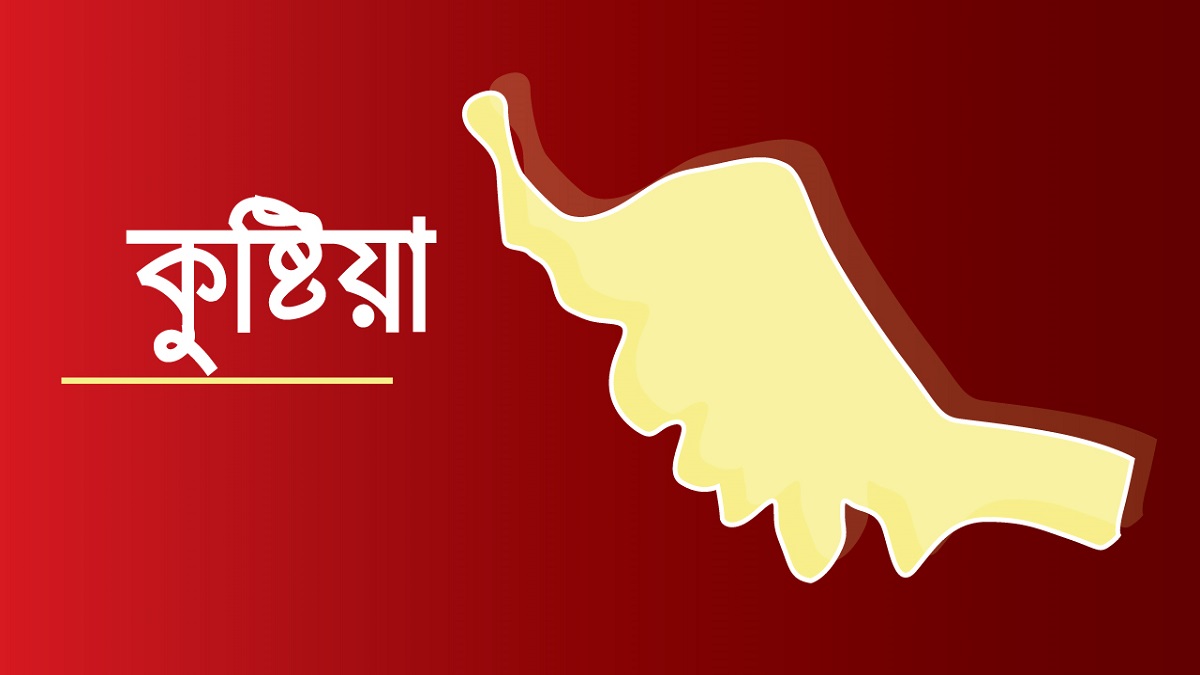 কুষ্টিয়ায় ২৯৬ বোতল ফেনসিডিলসহ আটক ১