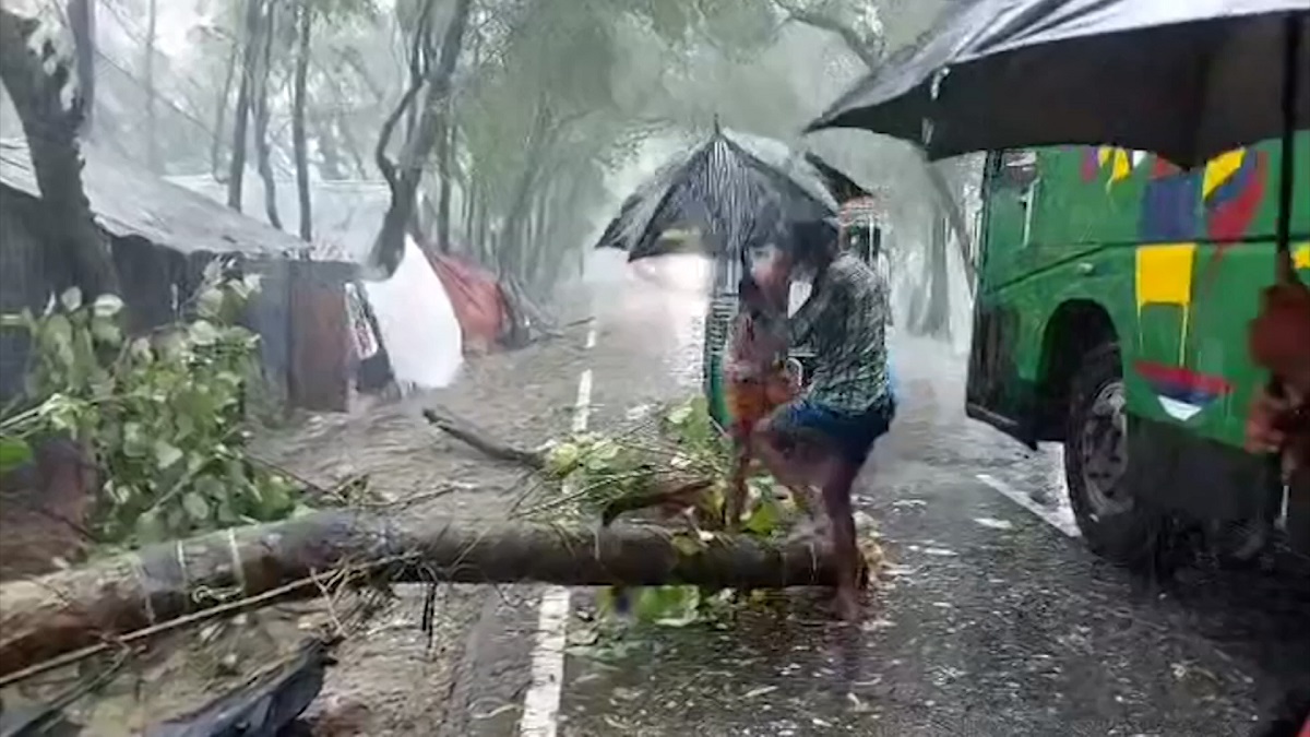 মিধিলি: গাছপালা ভেঙে সড়ক ও রেল যোগাযোগ ব্যাহত