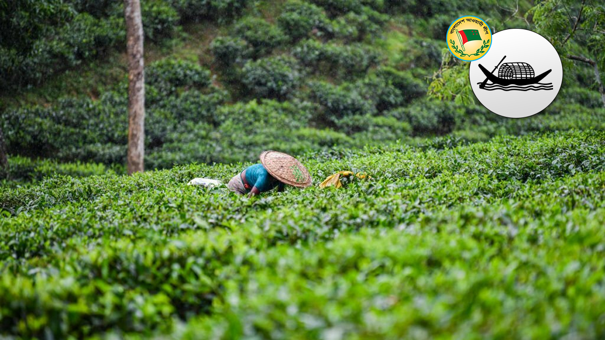 সিলেট বিভাগে নৌকার মুখ যারা