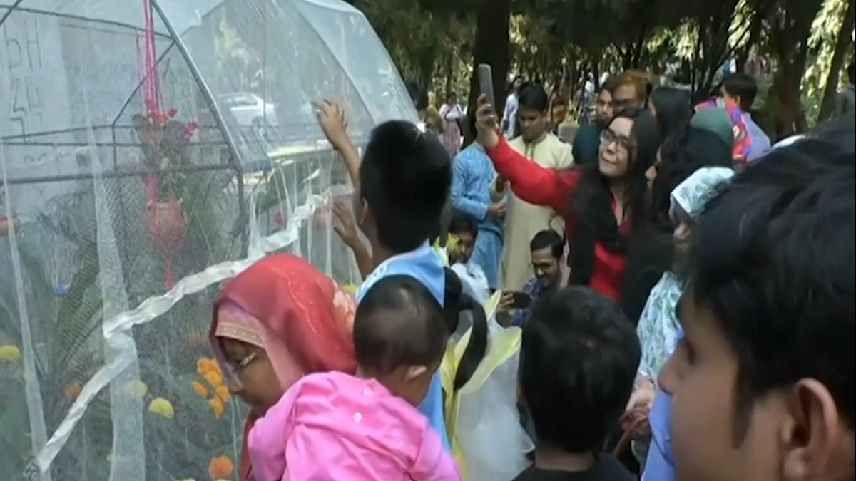 জাবিতে আয়োজিত হলো প্রজাপতি মেলা