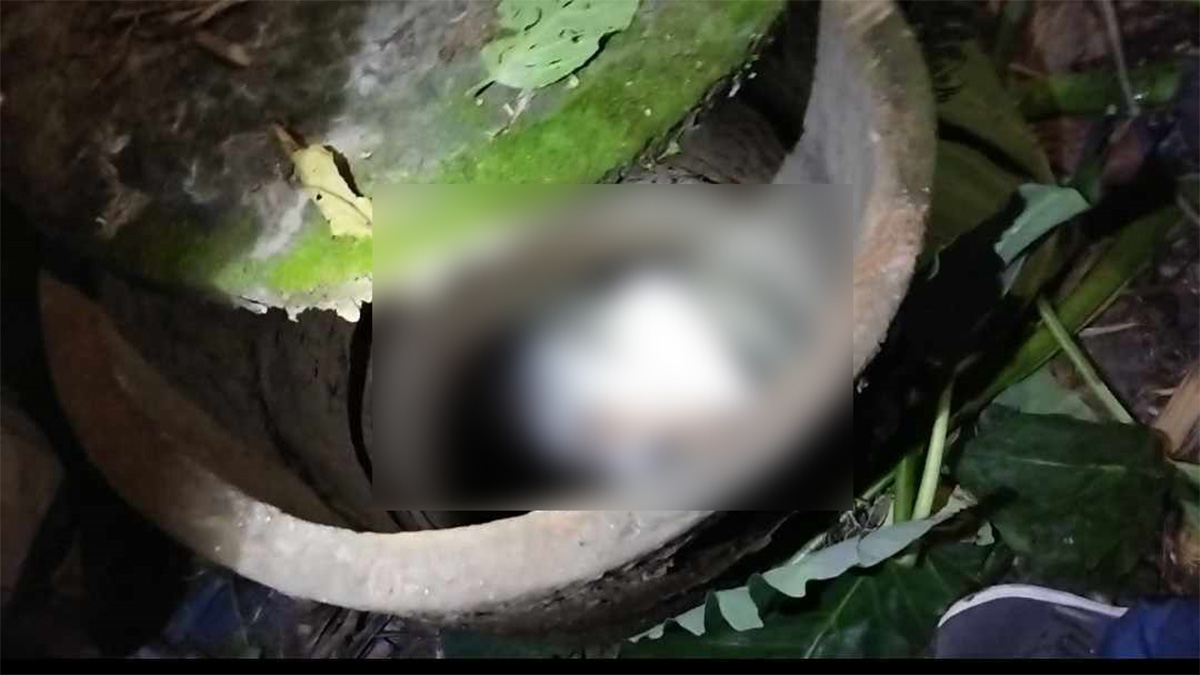 বাউফলে ময়লার ট্যাংক থেকে মাদ্রাসা ছাত্রের মরদেহ উদ্ধার