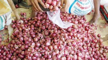 এক রাতে পেঁয়াজের দাম বেড়ে প্রায় দিগুণ
