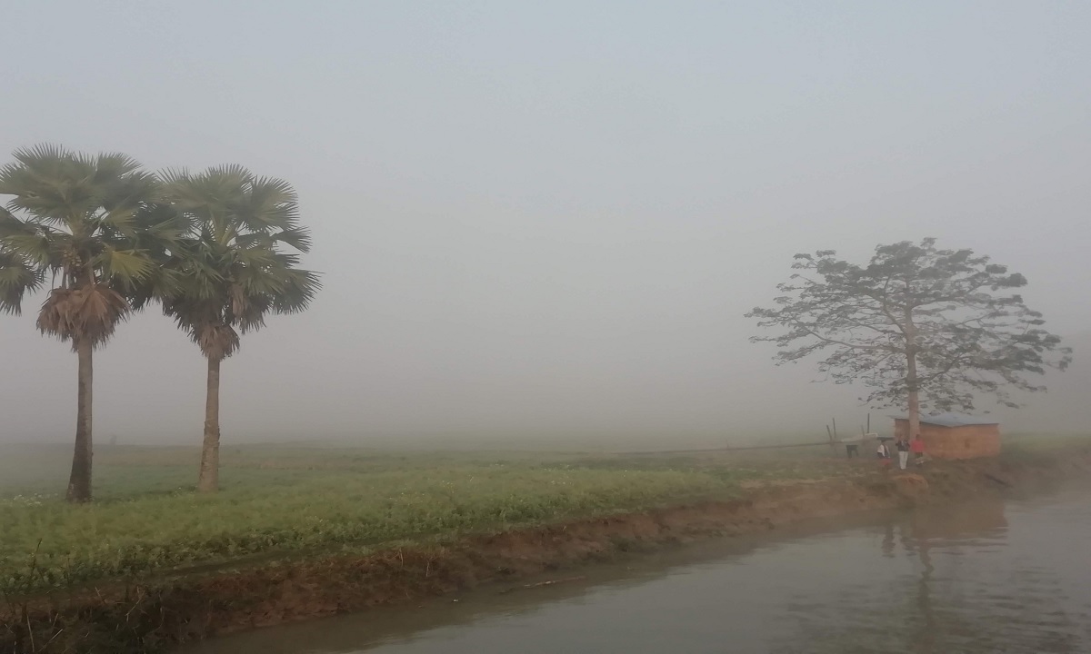 শীত কবে থেকে বাড়বে জানালো আবহাওয়া অধিদফতর