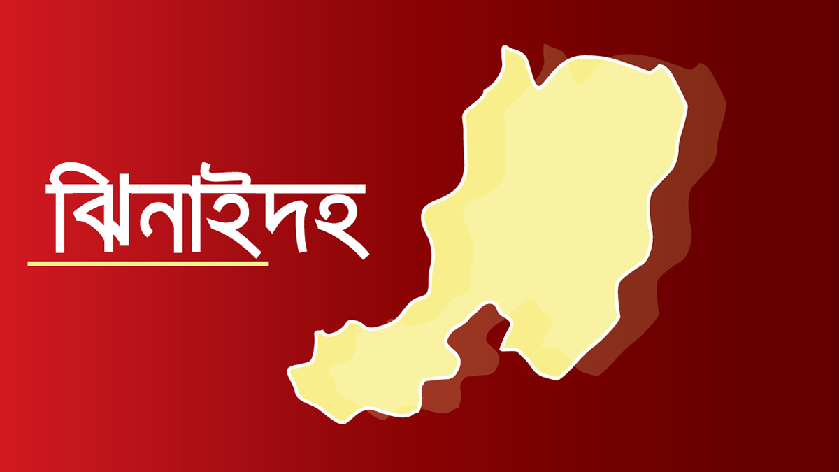 ঝিনাইদহে ট্রাকের ধাক্কায় নিহত ২