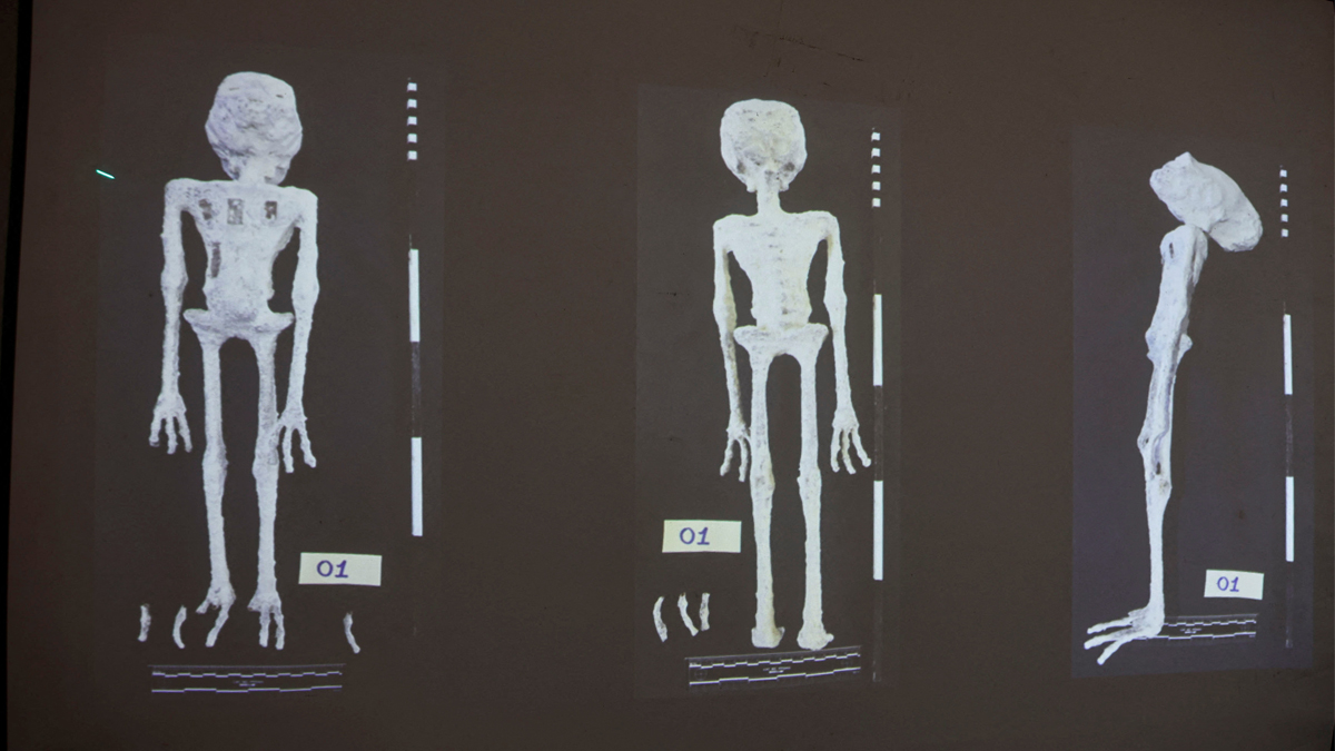 বিমানবন্দরে পাওয়া এলিয়েন মমি আর কিছু নয়, বরং পশুর হাড় দিয়ে তৈরি পুতুল: পেরু