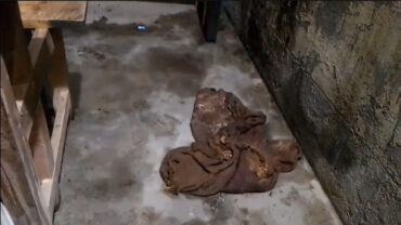 বরগুনায় ২টি ভোট কেন্দ্রে অগ্নিসংযোগ