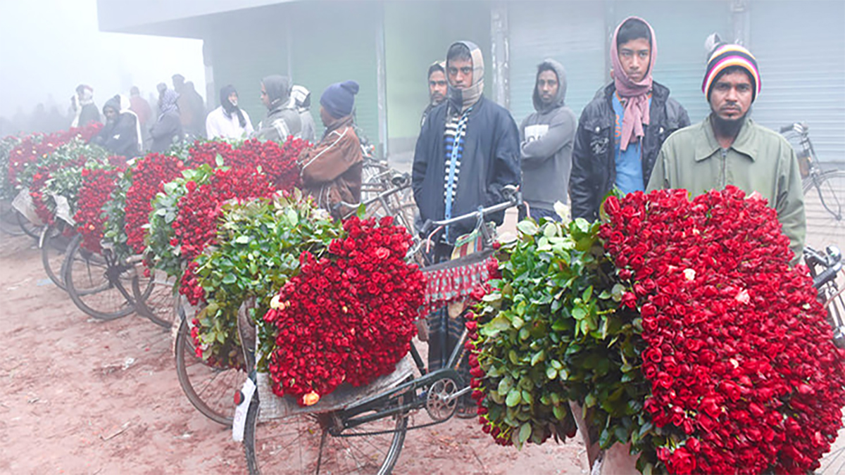 জমে উঠেছে গদখালী ফুল বাজার, নতুন বছর ঘিরে বিক্রি প্রায় ৩ কোটি টাকা