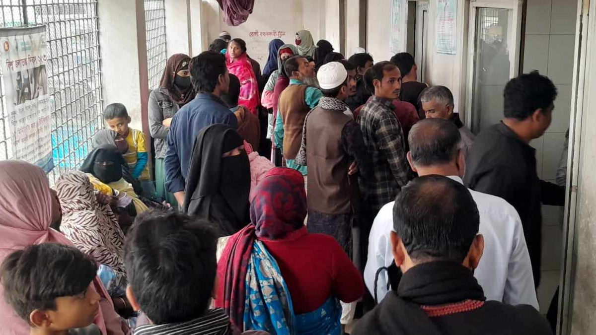 লক্ষ্মীপুরে কুকুর-বিড়ালের কামড়ে একদিনে শতাধিক মানুষ হাসপাতালে