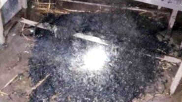 নেত্রকোনার কেন্দুয়ায় ৪ ভোটকেন্দ্রে আগুন