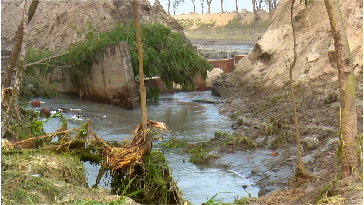 তিস্তা সেচ ক্যানেলের পাড় ভেঙে প্লাবিত ৩০০ একর জমি