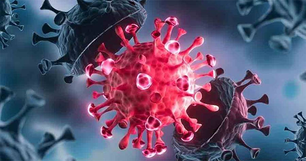 দেশে করোনার নতুন সাব-ভ্যারিয়েন্ট ‘জেএন.ওয়ান’ শনাক্ত