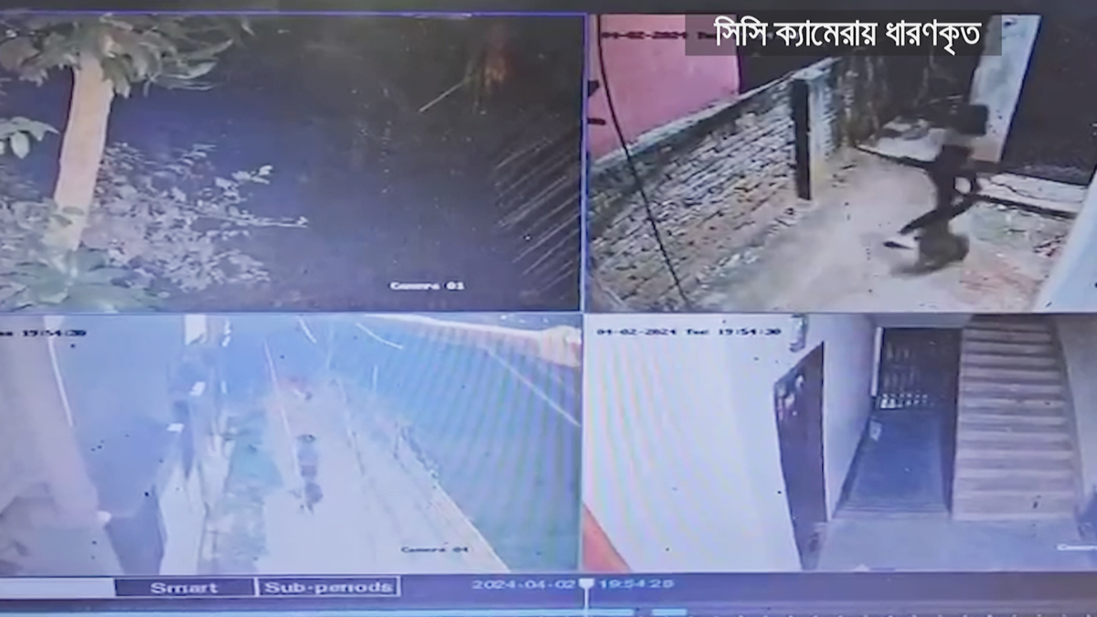 মুগদায় কিশোর গ্যাংয়ের তাণ্ডব