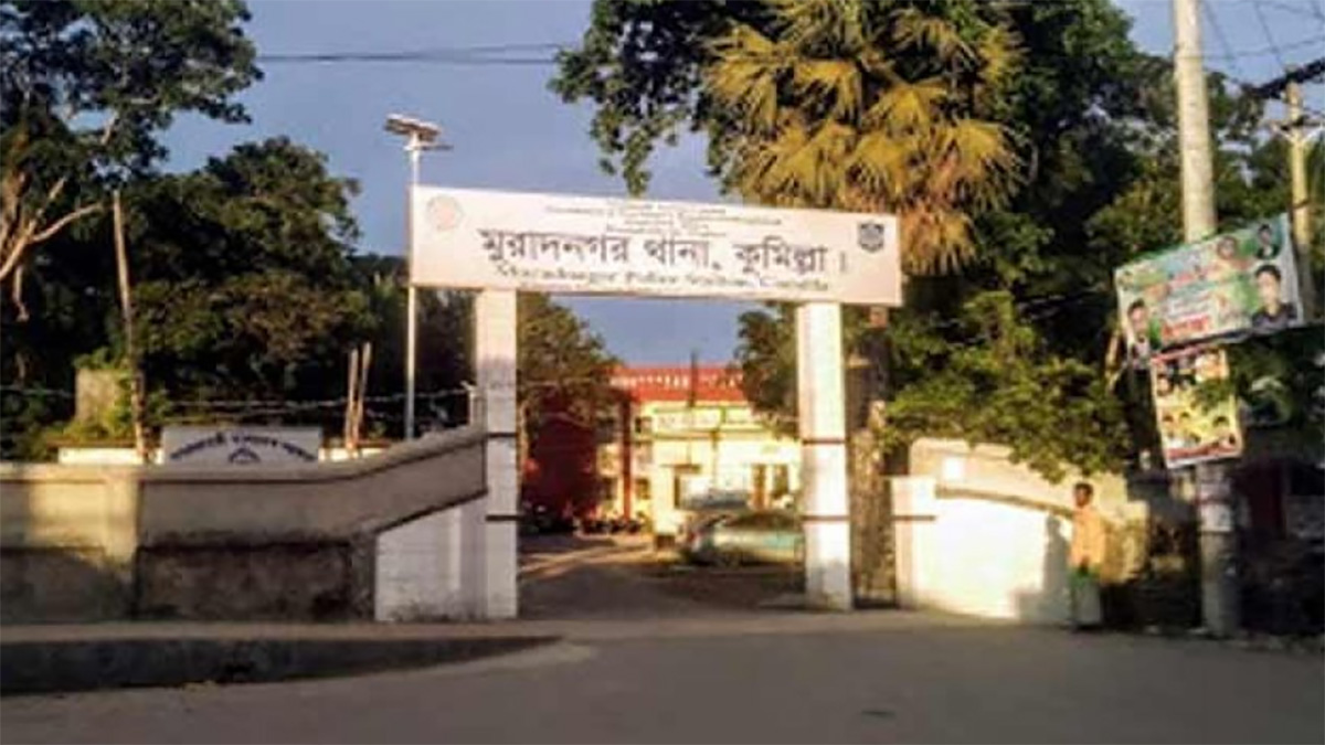 বিয়ের ১০ মাস পর অন্তঃসত্ত্বা স্ত্রীকে হত্যার অভিযোগ, স্বামী পলাতক