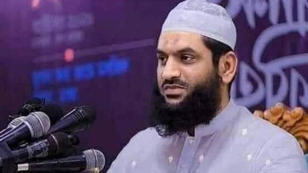 ধর্ষণ মামলায় খালাস পেলেন মামুনুল হক