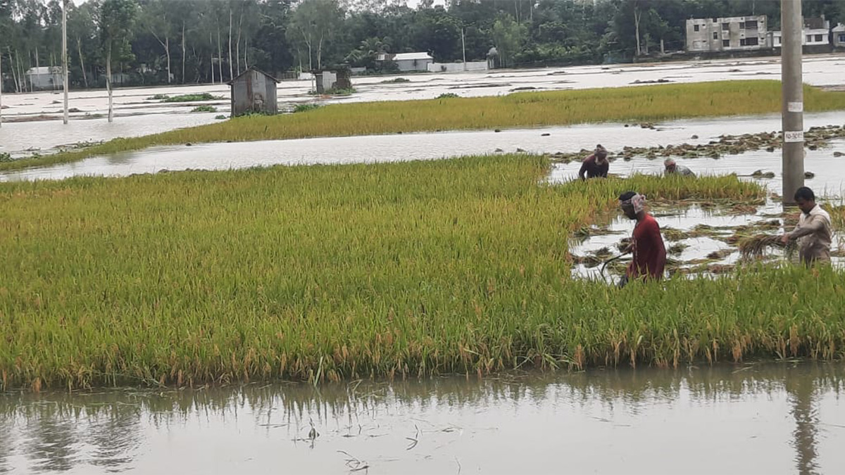 কুড়িগ্রামে বন্যা পরিস্থিতির অবনতি