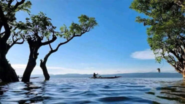 হঠাৎ একদিন টাঙ্গুয়ার হাওরে