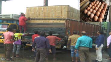 ফের ভারত থেকে এলো ২ লাখ ৩১ হাজার ডিম