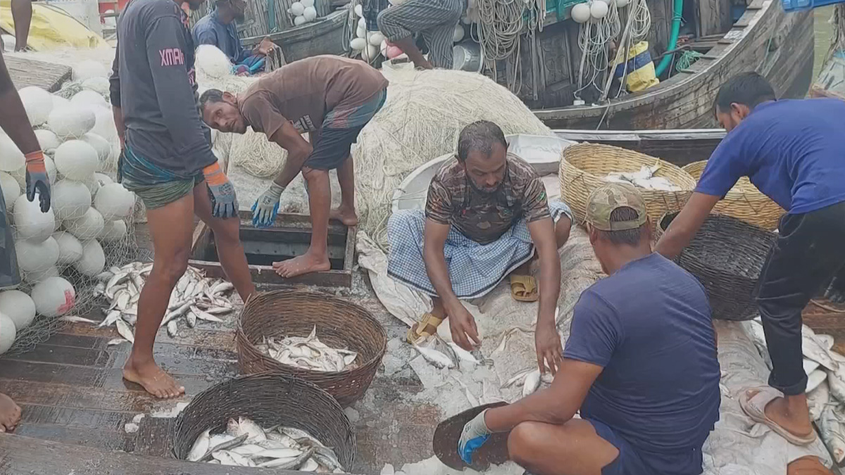 মধ্যরাত থেকে ২২ দিন বন্ধ ইলিশ ধরা