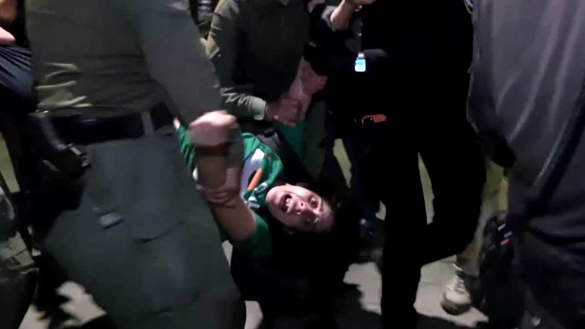 নেতানিয়াহুর বাসভবন ঘেরাও, ৯ জন আটক