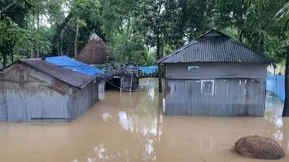 শেরপুরে বন্যায় মানুষের দুর্ভোগ, মৃত বেড়ে ৮