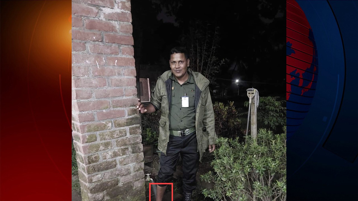 জাবিতে শেয়ালের কামড়ে ৩ জন আহত