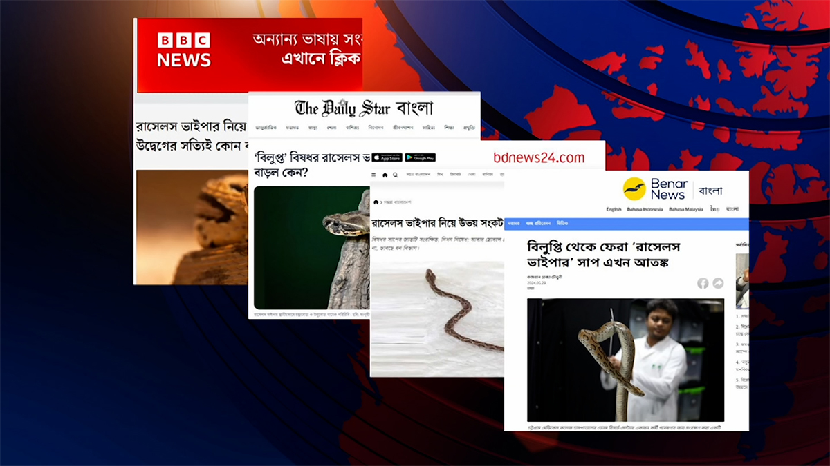 কোথায় হারিয়ে গেল বিষধর রাসেলস ভাইপার?