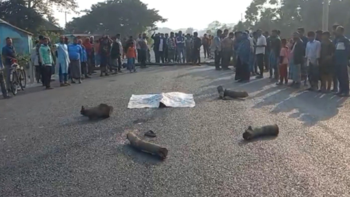 গোপালগঞ্জে ট্রাকচাপায় স্কুলছাত্র নিহত