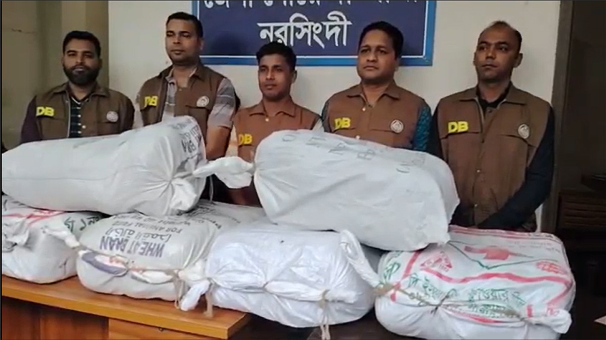 নরসিংদীতে ডিবির অভিযানে প্রায় ১০০ কেজি গাঁজা উদ্ধার