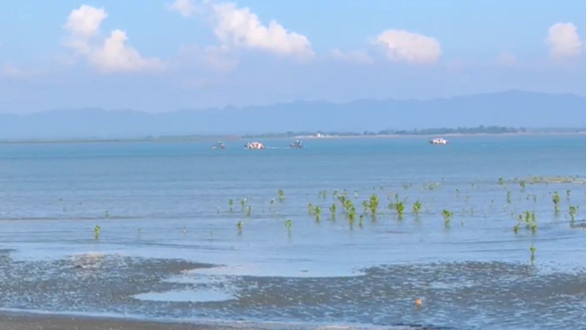 টেকনাফে নৌকাডুবি: ২৫ রোহিঙ্গা উদ্ধার, নিখোঁজ বিজিবি সদস্য