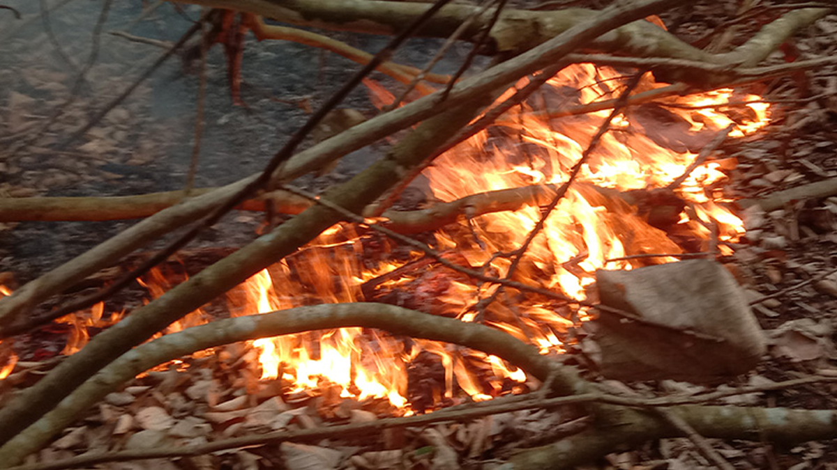 সুন্দরবনে আগুন, ধারেকাছে নেই পানির উৎস