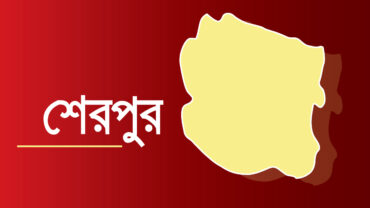 শেরপুরে নিখোঁজের ২০ঘণ্টা পর জলাশয় থেকে দুই শিশুর মরদেহ উদ্ধার