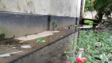 সাতক্ষীরা সদর হাসপাতালে ড্রেনেই মশার লার্ভা, স্বাস্থ্যঝুঁকিতে রোগীরা