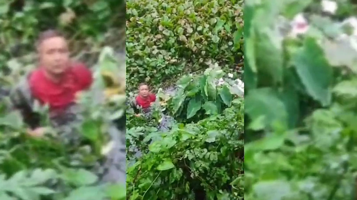 ছাত্র-জনতার ধাওয়ায় ডোবায় ঝাঁপ দিলেন কেশবপুরের সাবেক মেয়র, পুলিশে সোপর্দ