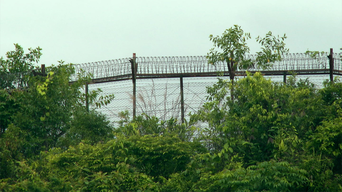 সীমান্তে স্থলমাইন পেতেছে আরাকান আর্মি, বাড়ছে উদ্বেগ, নেই আলোচনার সুযোগও