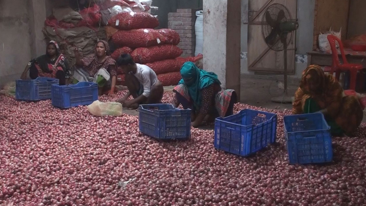 ভোমরা বন্দরে ৩ দিনে দুই হাজার টন পেঁয়াজ আমদানি, কেজিতে দাম কমলো ৫ টাকা