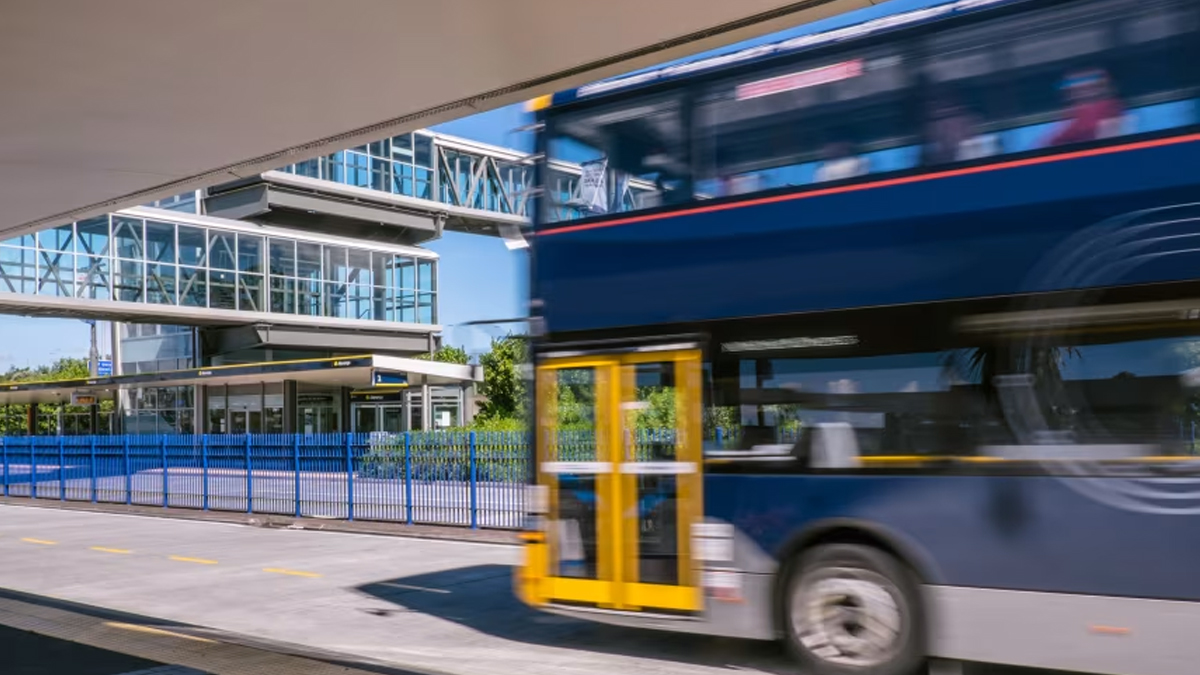 নিউজিল্যান্ডে স্যুটকেস থেকে ২ বছরের জীবিত শিশু উদ্ধার