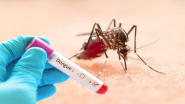 ডেঙ্গুতে আরও ৫ জনের মৃত্যু, হাসপাতালে ৬৩৬