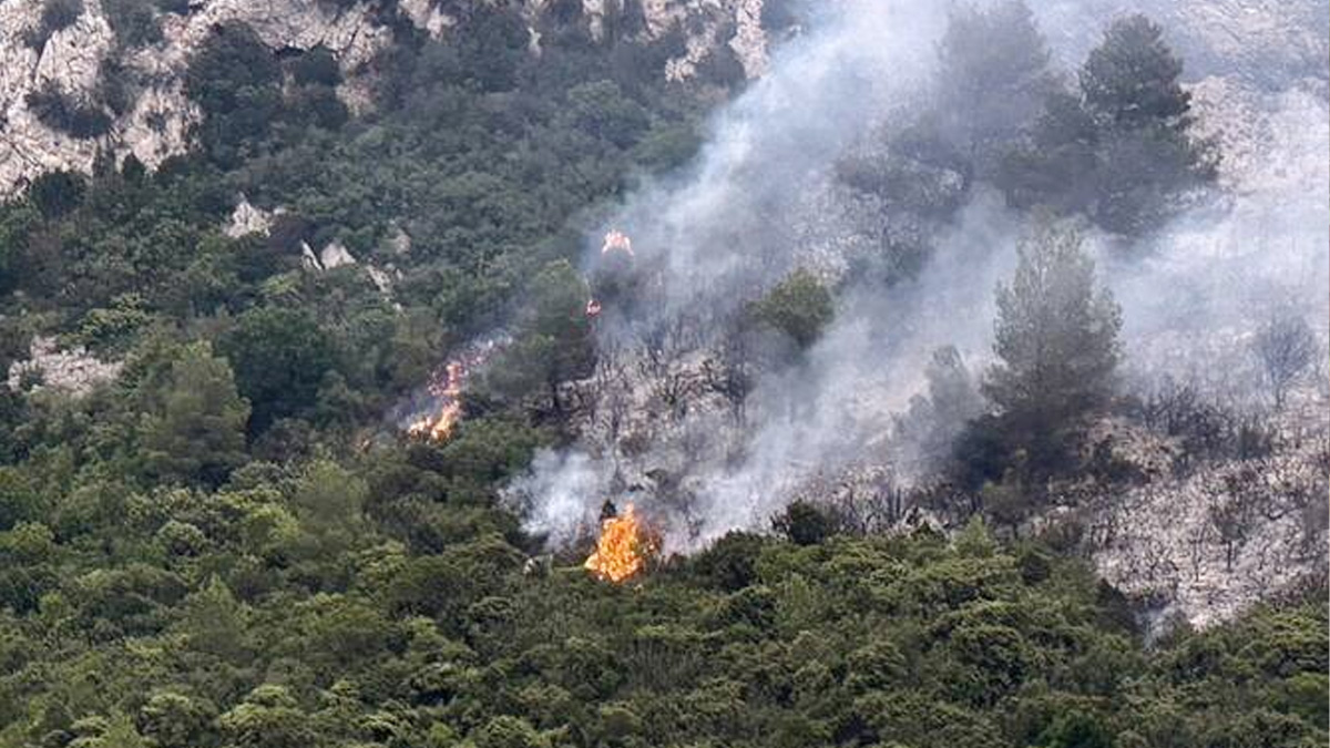 ভয়াবহ দাবানলে পুড়ছে ফ্রান্সের মেডিটেরানিয়ান অঞ্চলের পাহাড়, নিহত ১ আহত ১৩