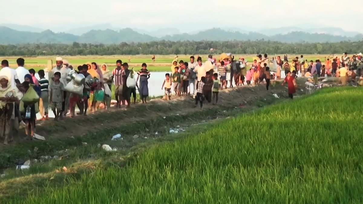 রোহিঙ্গা ইস্যুতে কূটনৈতিক মিশনগুলোর যৌথ বিবৃতি