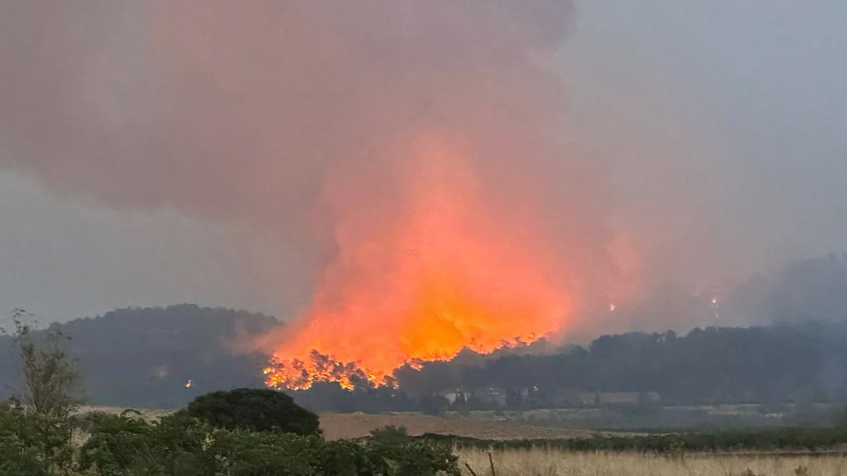 ভয়াবহ দাবানলে বিপর্যস্ত ইউরোপের পাঁচটি দেশ
