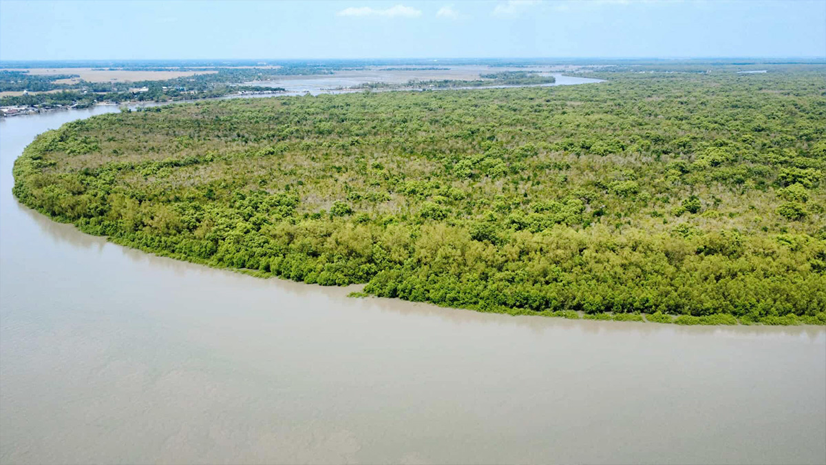 নিষেধাজ্ঞা শেষে পর্যটক ও বনজীবীদের জন্য উন্মুক্ত সুন্দরবন