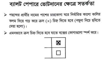 যেভাবে দিতে হবে ডাকসুর ভোট